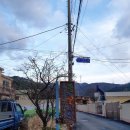 풀과꽃이야기 이미지