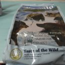 퍼피스캔들 이미지