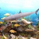 부산해양자연사박물관 이미지