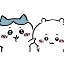 우림미디어 이미지