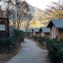삼가-4 이미지