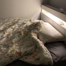 종원세탁소 이미지