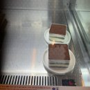 더숲 | 기장 정관 신상 대형 카페 젬스톤인더숲 내돈내산 아이랑 방문 후기