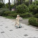 아림동물병원 이미지