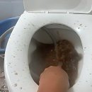 호동로1R | 앗, 내 집이 퐁당 빠질 뻔? 안산누수 대참사 탈출기