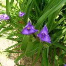 그린바다 이미지