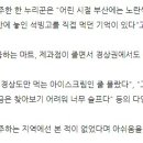 아이스크림판다 Daum카페