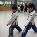 신기 합기도,태권도 이미지