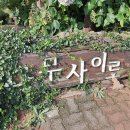 나무사이로햇살이