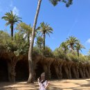 안뜰거북이마을 | 참좋은여행 스페인 패키지 후기 #10 몬세라트 바르셀로나 여행코스 몬세라트수도원 구엘공원 사그라다...