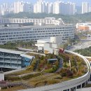 청사큰길 이미지