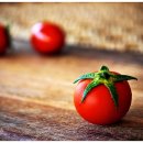 토마토세탁소 이미지