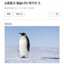 동물계의 길치 1티어 이미지