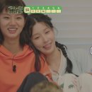 단심이동물농장 이미지