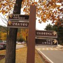 수인공원 이미지