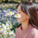 계명대튼튼태권도장 이미지