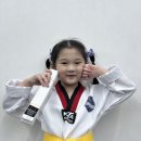 국가대표 유아태권도장(키즈특별관) | 아이들의 성장을 확인하는 순간, 가정심사 후 첫 띠갈이 이야기 부산진구 양정동 국가대표 무혼태권도장