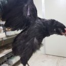 청계유통 이미지