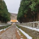 제주불교성지 순례길 절로 가는길 - 인욕의 길 이미지