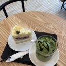 블루베리 앞 | 카페 모임 데이트 코스 추천｜3번출구 바로 앞 Confi 솔직 내돈내산 후기 (레몬 블루베리 케이크 찐맛집)