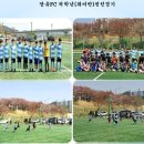 가곡유소년축구장 이미지
