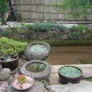 자연그대로민박 이미지