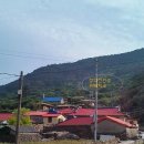 흑산도사리수산 티스토리