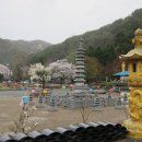 금당사 화장실 이미지