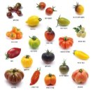 넬마켓(Ner Market) | [서울] 마르쉐 농부시장 @목동 오목공원🧑‍🌾 예약 및 구매상품