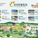 선샤인요가명상