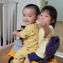 영월치킨센타 이미지