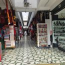 알파카프라자 이미지