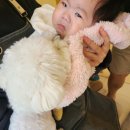 로엘유치원 이미지