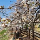 성황교2 이미지