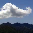 함양소방서 | 경남 함양군 &#39;오르고(GO) 함양&#39; 사업 분석 및 발전 제안 (2025년 1월 시행) - 9
