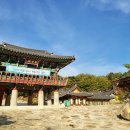 법흥사부도 | 영월 법흥사 부처님의 진신사리를 품은 적멸보궁과 가을단풍