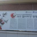 제주칠머리당영등굿 이미지