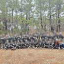 자작나무 펜션 이미지