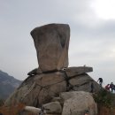 대조야채