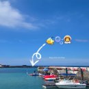 오케이리더스환경 | 제주도에서 이색 체험하기 씨워크: 함덕언더워터플레이⋆｡𖦹 °.🐚⋆❀˖°🫧