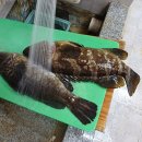 진미명가식당 이미지