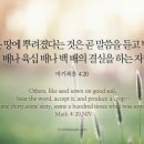 온소금