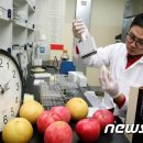 충주농약마트 뉴스1
