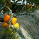 은상농장 이미지