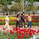 삼학도 중앙공원 이미지