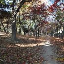 삼각지역 2번출구(4호선) 이미지