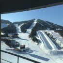 성우리조트 다녀옴. 이미지