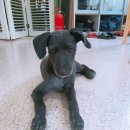 가인동물병원 이미지