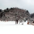평강식물원 이미지