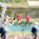 불광천5 이미지